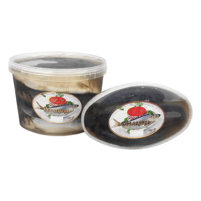 Herring