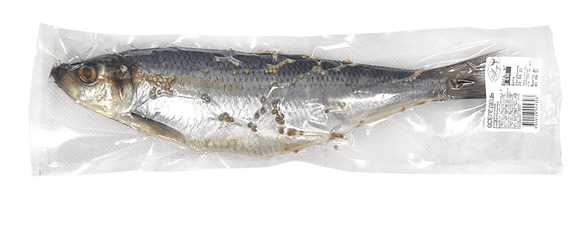 Herring, v/u