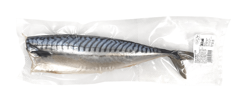 Mackerel, v/u